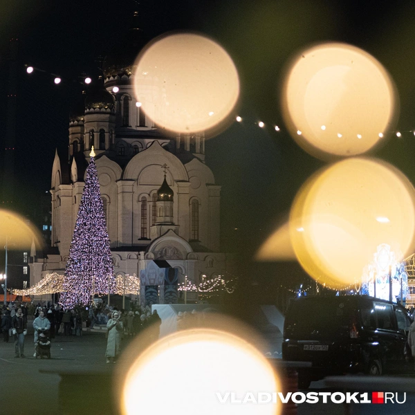 А вот так выглядела площадь в декабре 2024 года | Источник: Елена Буйвол / VLADIVOSTOK1.RU