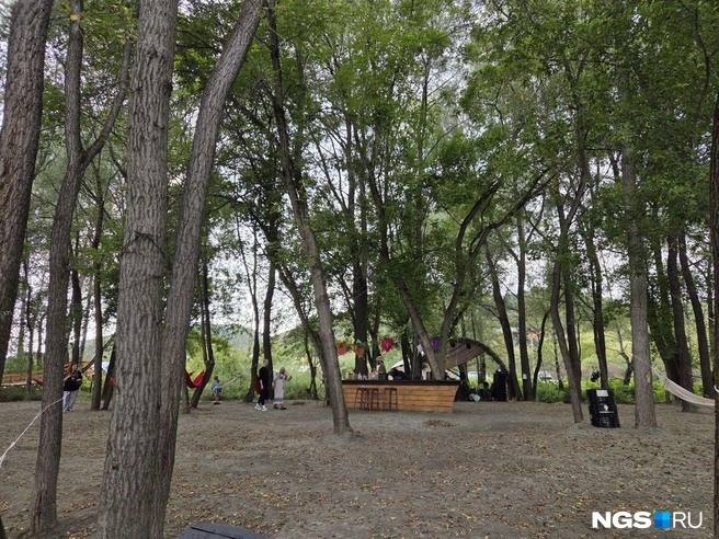 Источник: Елизавета Шаталова / NGS.RU