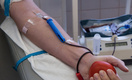 Жительница Ленобласти с ВИЧ стала донором крови. Теперь её будут судить
