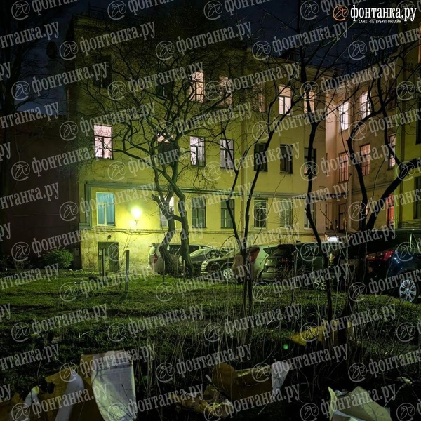 Источник: Федор Данилов / «Фонтанка.ру»