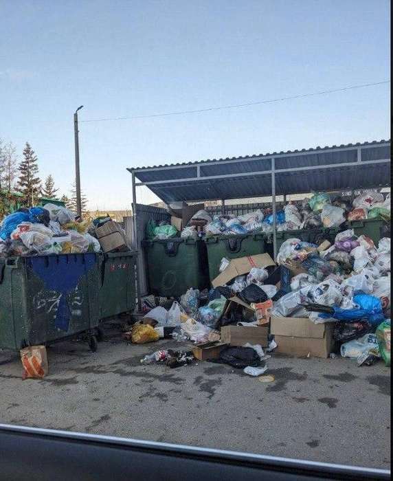 Здесь тоже явно давно не было вывоза | Источник: Мусорный дозор Самарской области / T.me