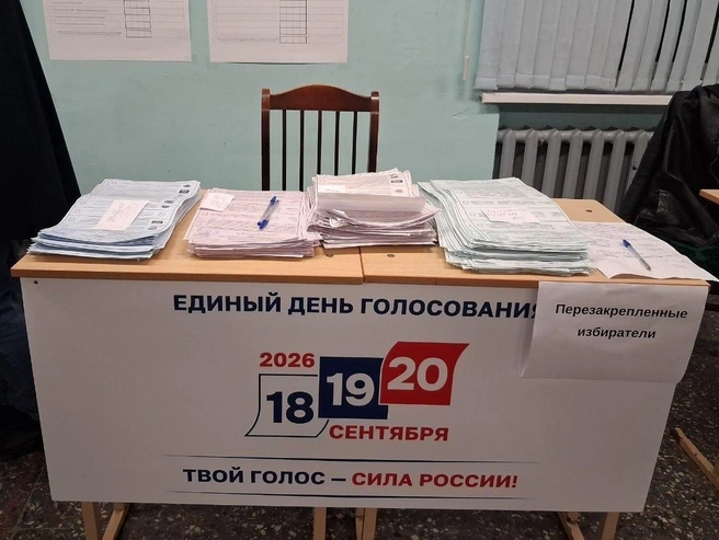 Количество бюллетеней с голосами за думские партии и за кандидатов в Госдуме оказалось ощутимо разным (голубые и зеленые бюллетени) | Источник: Анна Мотовилова/ FONTANKA.RU