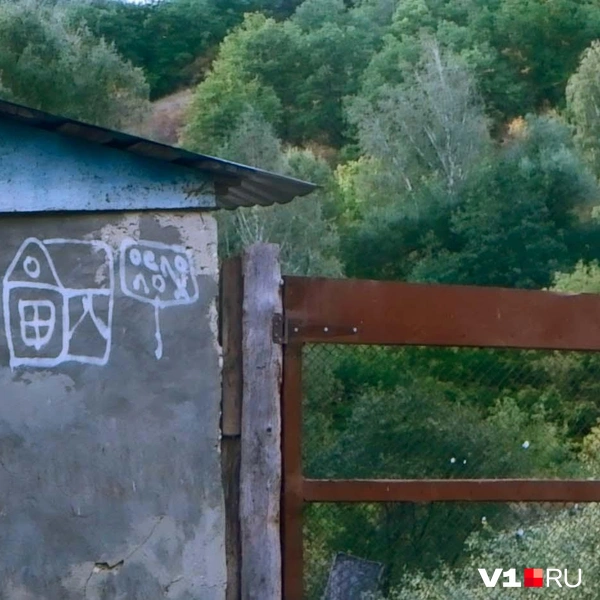 Источник: Илья Воробушкин / V1.RU