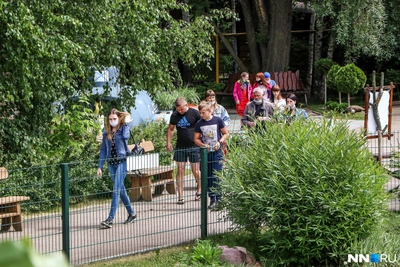 Скончалась старейшая зубрица Муза из нижегородского «Лимпопо»