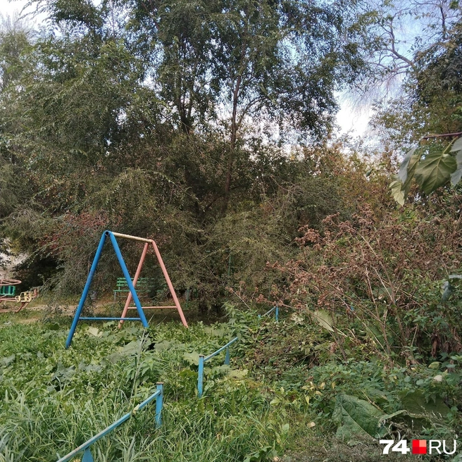Двор напоминает джунгли | Источник: «Текслер, помоги» / Vk.com