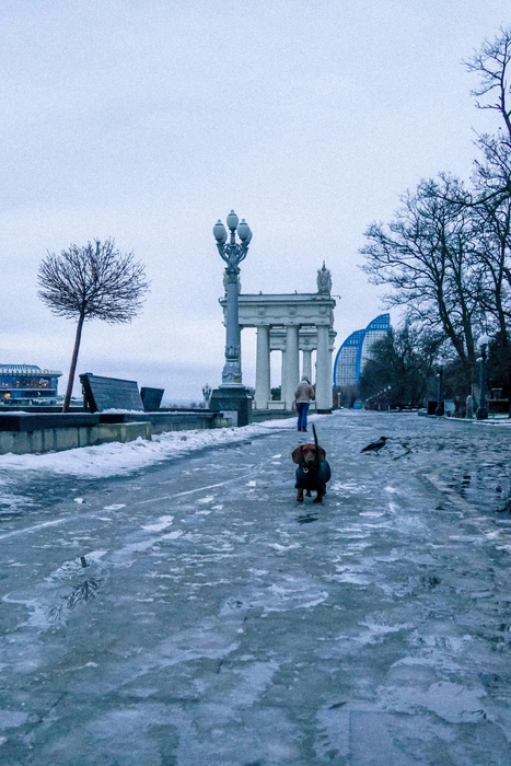 Источник: Дмитрий Доценков