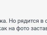 Источник: 161.RU