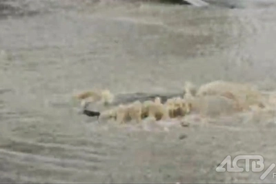 Проспект Мира в Южно-Сахалинске заливает водой из люка