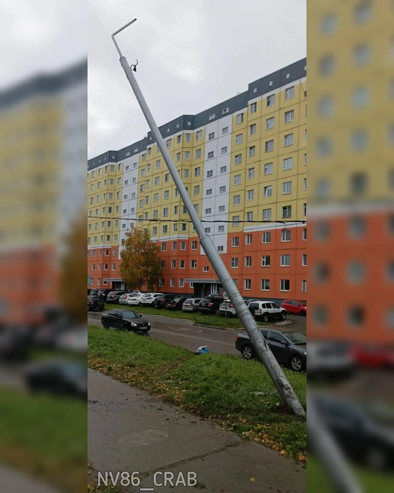 Источник: «Типичный краб Нижневартовск» / T.me