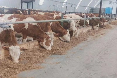 Демешин поручил нарастить производство местных продуктов в Хабаровском крае