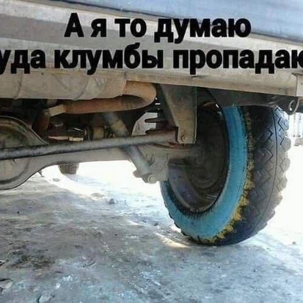 Источник: соцсети