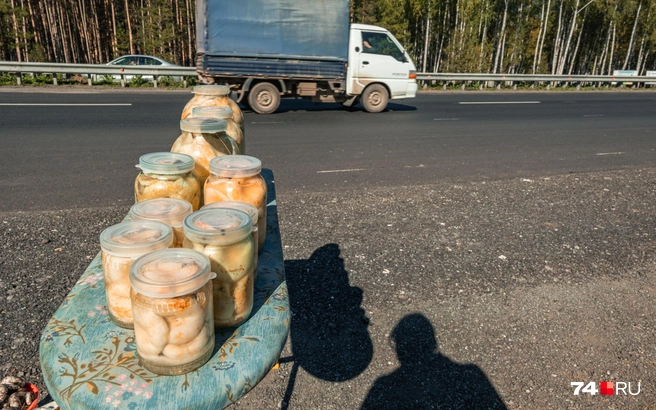 Омский Роспотребнадзор назвал правила покупки грибов | Источник: Наталья Лапцевич / 74.RU