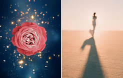 Роза пустыни: 5 знаков зодиака, которые встретят свою любовь до конца 2024 года без каких-либо усилий