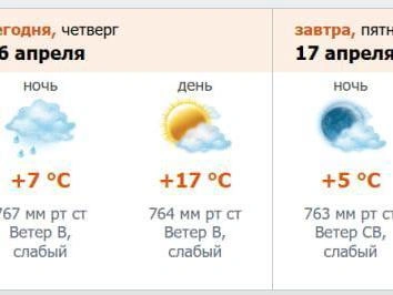 Скриншот прогноза с официального сайта метеорологической службы.