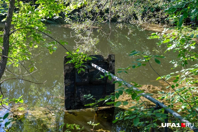 Кольцо для игры в водный баскетбол | Источник: Булат Салихов / UFA1.RU