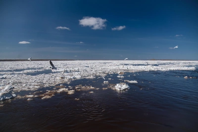 В ХМАО ледоход на Иртыше дошел до слияния с Обью