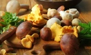 Вкусно — не значит безопасно: как понять, что вы отравились грибами, объяснила врач Кашух