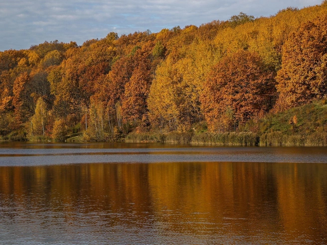 Все оттенки осени в одном кадре | Источник: Наталья Бурухина / NN.RU