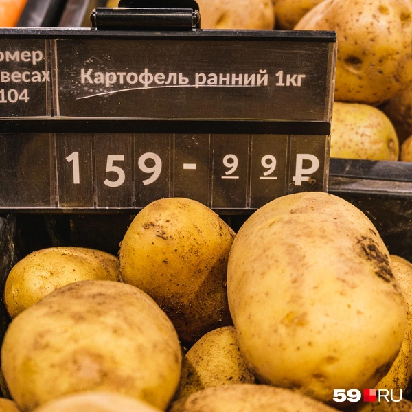 Ранний картофель | Источник: Тимофей Калмаков / 59.RU