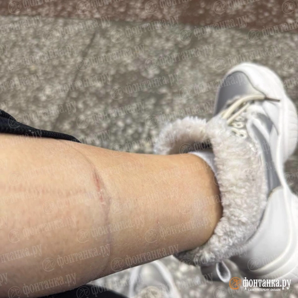 Источник: читательница «Фонтанки» Наталья