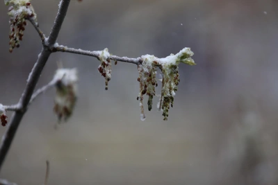Погода в Омске на выходные: будет ли тепло?