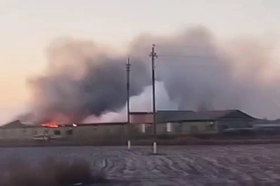 Волжская птицефабрика прекратила зловоние после суда