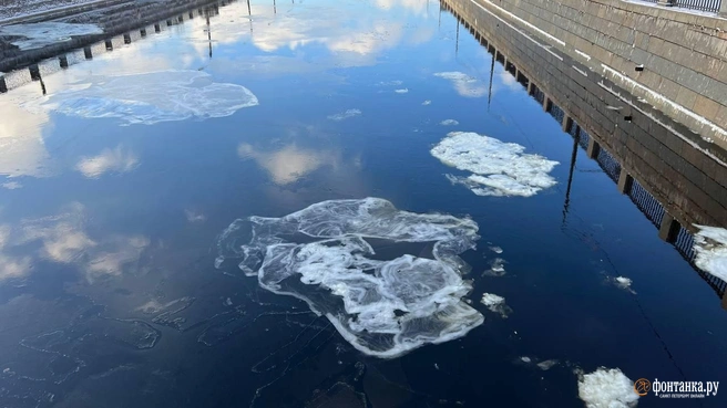 Источник: Валентин Егоршин/«Фонтанка.ру»