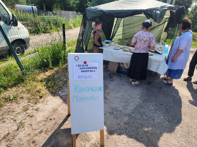 Домашнюю выпечку решили продавать дочери Кора и Ариана | Источник: Countryside Acres / t.me