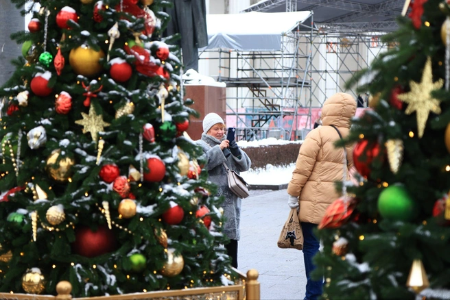 Гости оценили новогоднее украшение у главного входа на выставку | Источник: Татьяна Спиридонова / MSK1.RU