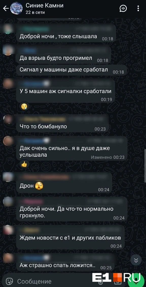 В общедомовом чате поднялась паника | Источник: читатель E1.RU