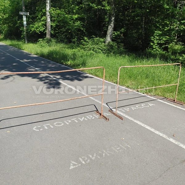 Источник: Андрей Пашинский / Voronezh1.ru