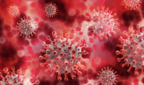 С начала эпидемии от коронавируса умерли более 10 тысяч россиян