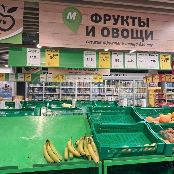 Источник: Анна Мотовилова / «Фонтанка.ру»
