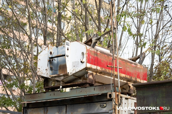 Источник: Елена Буйвол / VLADIVOSTOK1.RU
