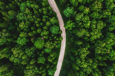 Yugra Aerial Photos Show Region's Natural Beauty