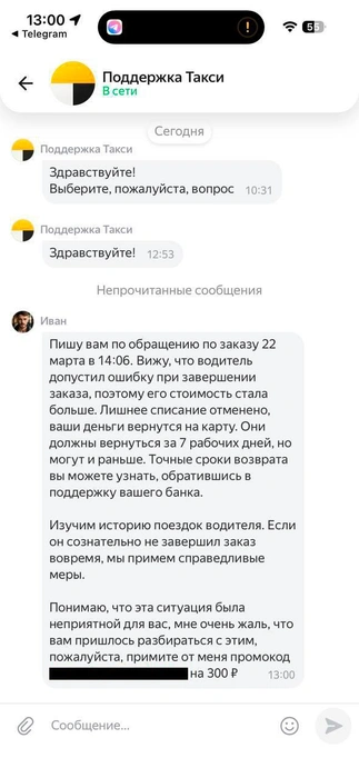 Сообщение от поддержки после нашего обращения | Источник: Александр Горбанев / 71.ru