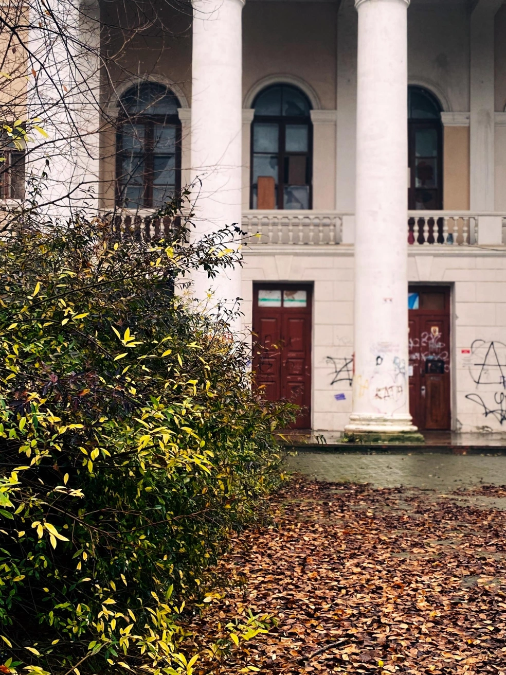 Источник: Юлия Воропаева