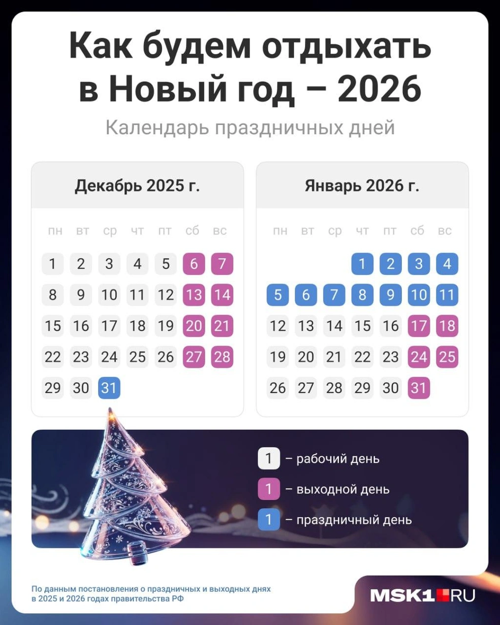 Каникулы будут очень длинными | Источник: Юрий Скулыбердин / MSK1.RU