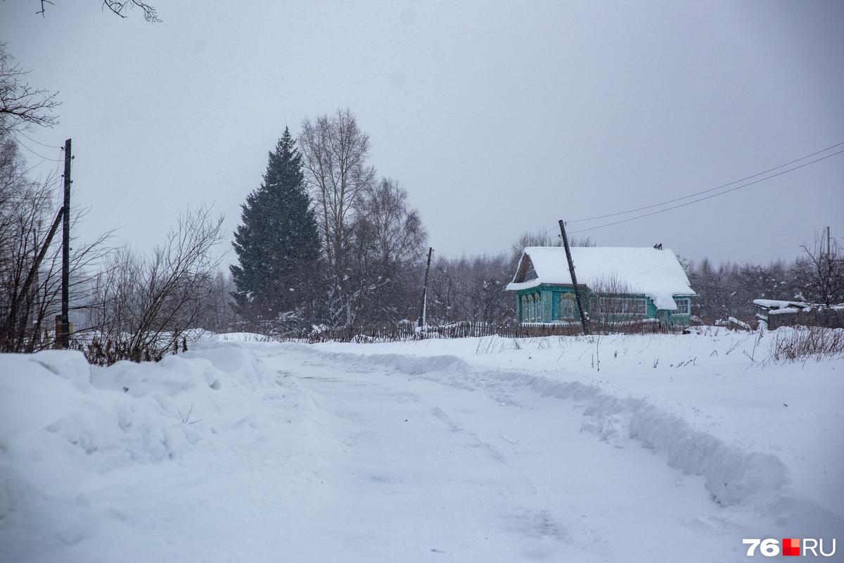 Новое ярославское кладбище у деревни Прохоровское сократят в четыре раза -  7 февраля 2024 - 76.ру