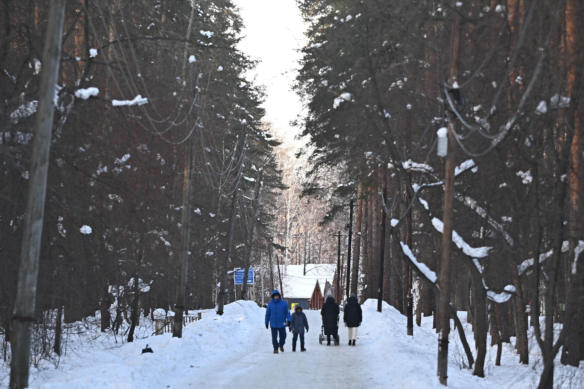 По парку проложена сеть дорожек: по асфальтовым удобно кататься на велосипедах и роликах, а по грунтовым — бегать | Источник: Максим Воробьев