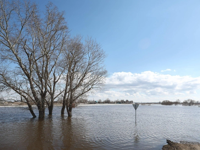 Вода разделила село на изолированные части. | Источник: Александр Ощепков / NGS.RU