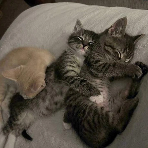 Источник: соцсеть