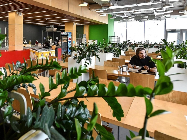 Будете щи с ананасом? Как устроен бизнес столовых | Источник: Артём Устюжанин / E1.RU