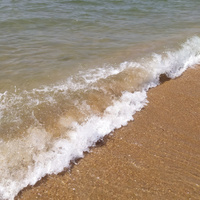 Аватарка puddy1