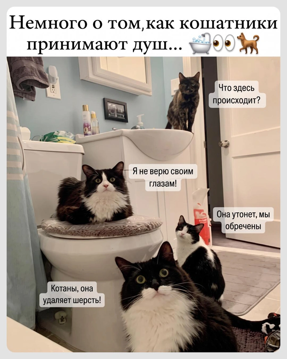 Всегда под присмотром | Источник: Городские медиа