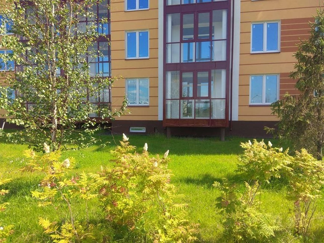 В Пушкинском районе начался цветочный сезон | Источник: Специализированный застройщик «ТЕРМИНАЛ-РЕСУРС»