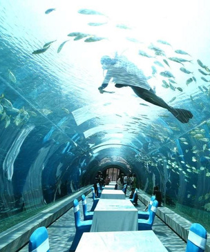 Полное погружение: лучшие подводные рестораны мира