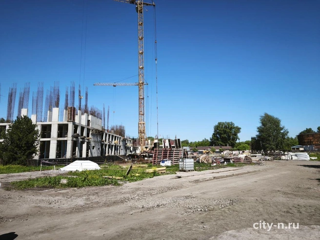 Источник: www.city-n.ru