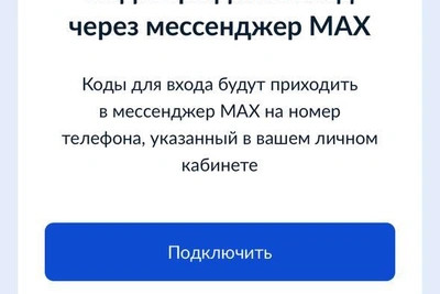 Петербуржцы не могут войти на госуслуги без мессенджера MAX