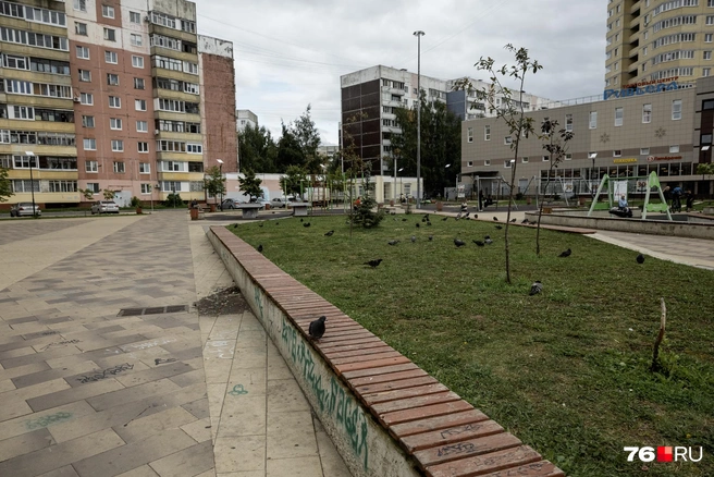 Отличительная особенность места&nbsp;— длинные и очень длинные лавочки | Источник: Александр Куренной / 76.RU